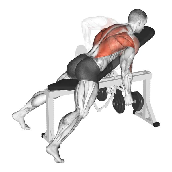 Neutral Bent Over Dumbbell Row — ejercicio de Espalda, nivel Intermedio