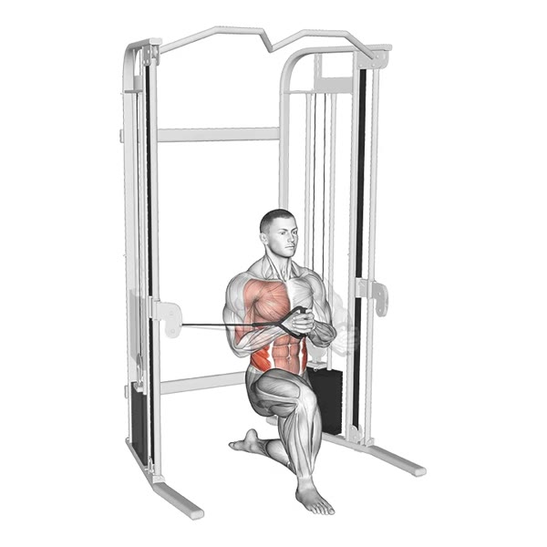 Neutral Front Press with Pulley — ejercicio de General, nivel Intermedio