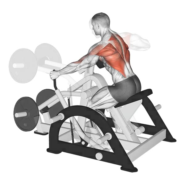 Neutral Horizontal Machine Row — ejercicio de Espalda, nivel Principiante