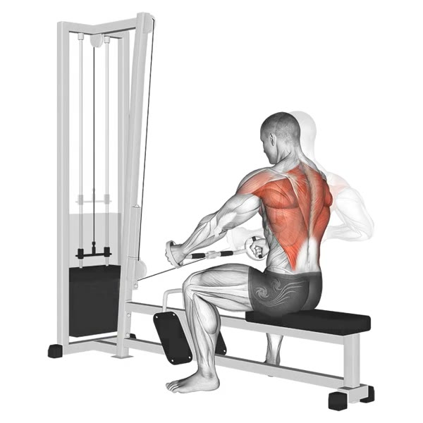 Neutral Horizontal Pulley Row — ejercicio de Espalda, nivel Intermedio