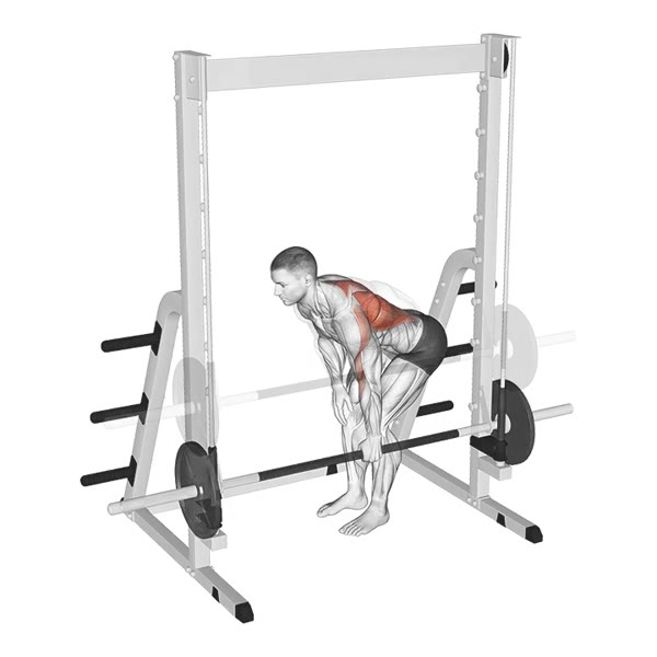 Neutral Isolated Rowing on Smith Machine — ejercicio de Espalda, nivel Intermedio