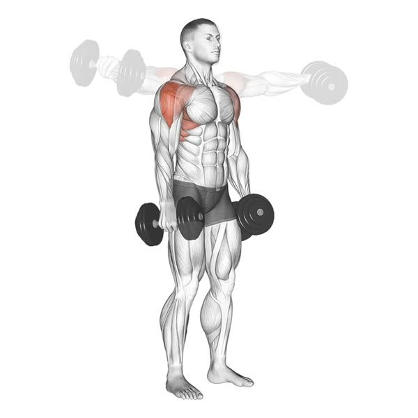 Neutral Lateral Raises with Dumbbells — ejercicio de Hombros, nivel Intermedio