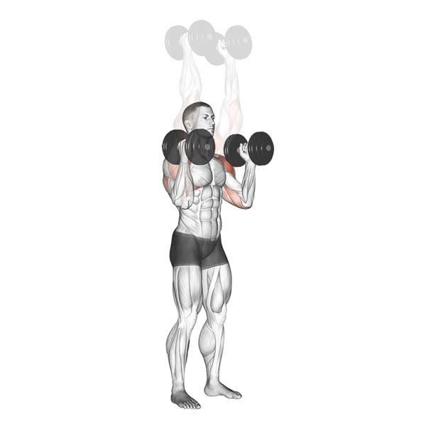 Neutral Military Press with Dumbbells — ejercicio de Hombros, nivel Intermedio