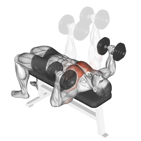 Neutral Open Dumbbell Press — ejercicio de Hombros, nivel Intermedio