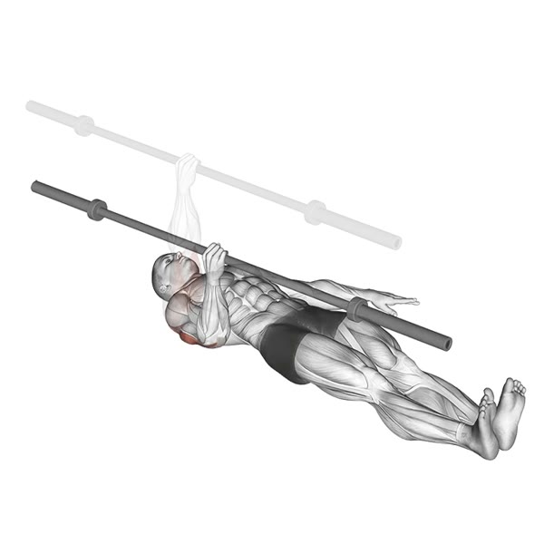 One Arm Barbell Press — ejercicio de General, nivel Avanzado