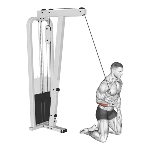 One arm curl on high pulley — ejercicio de Antebrazo, nivel Intermedio