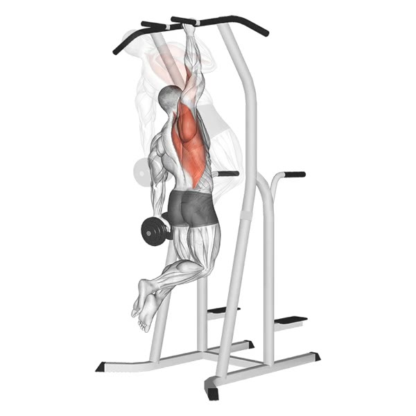 One handed pull up — ejercicio de Espalda, nivel Intermedio