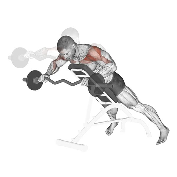 Open Decline Front Raise with Z Bar — ejercicio de Hombros, nivel Intermedio