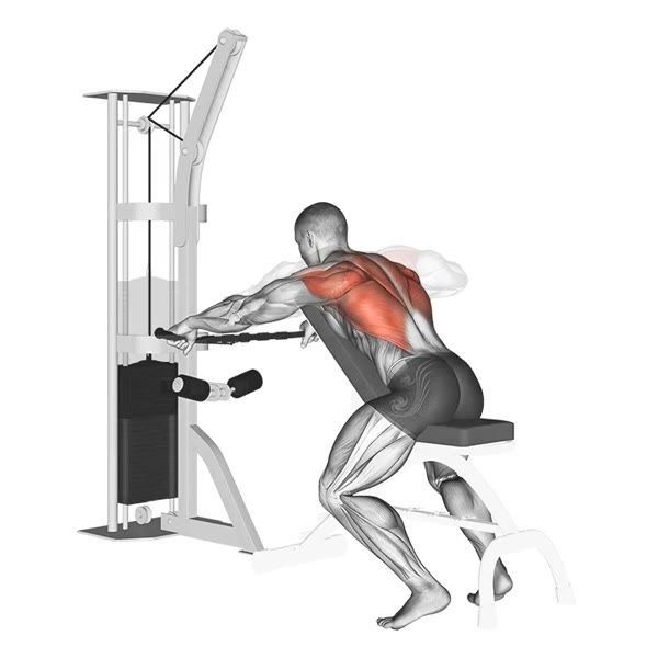 Open Pronated Decline Row on Pulley — ejercicio de Espalda, nivel Intermedio