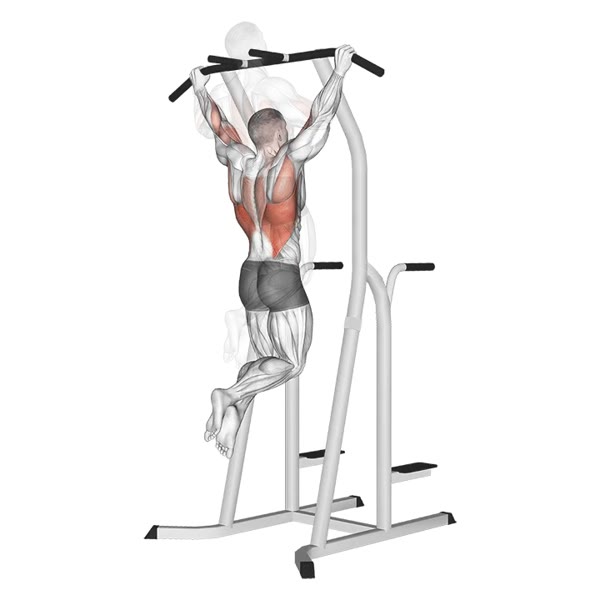 Open Pull Up — ejercicio de Espalda, nivel Intermedio