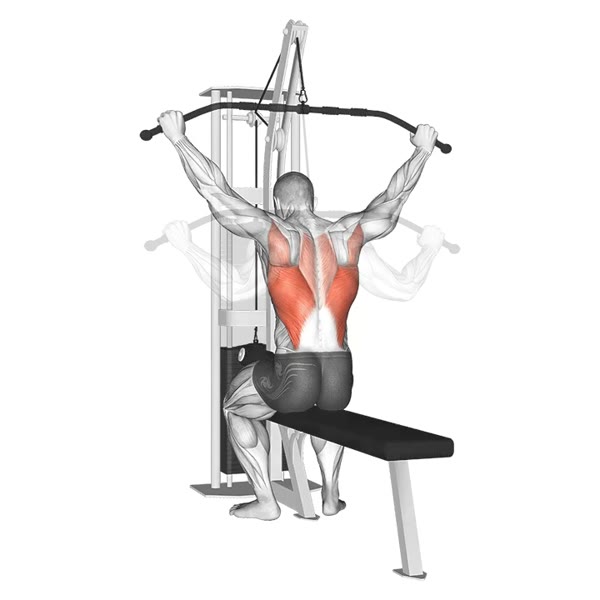 Open Rear Lat Pulldown in Pronation on High Pulley — ejercicio de Espalda, nivel Intermedio
