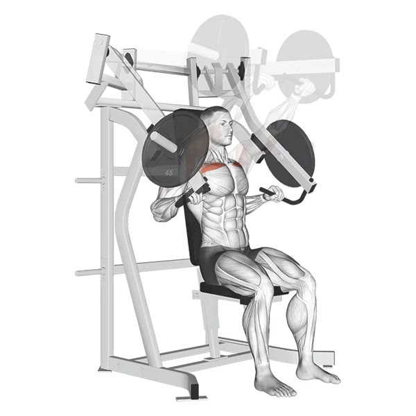 Overhead Front Press on Machine — ejercicio de Hombros, nivel Intermedio
