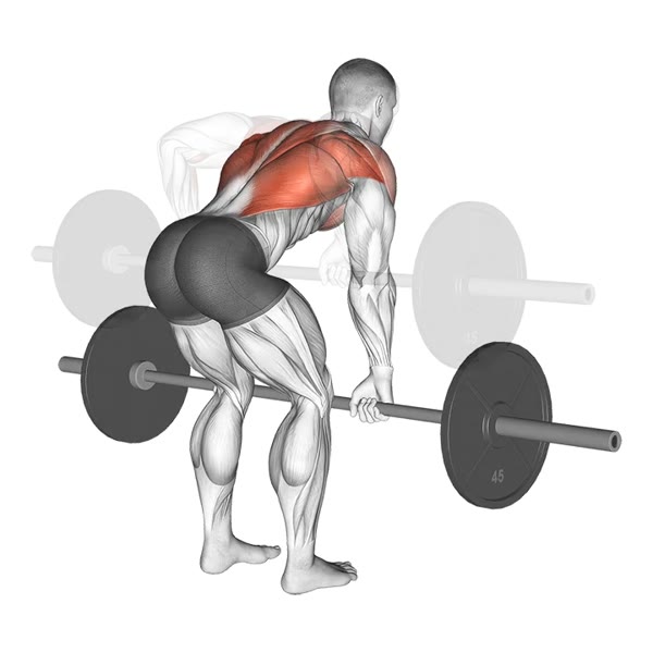Pronated Barbell Row — ejercicio de Espalda, nivel Principiante