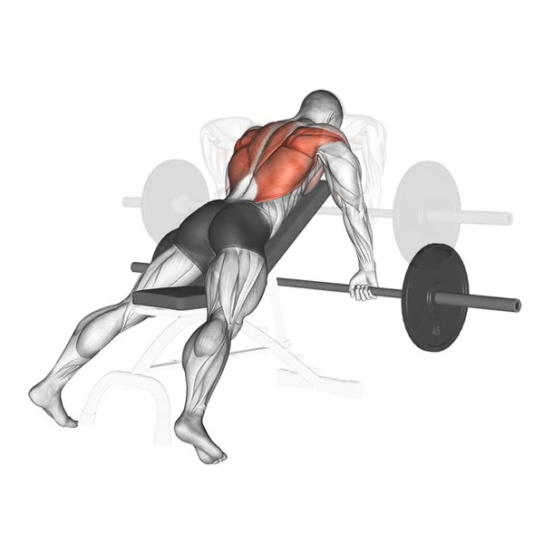 Pronated Bent Over Barbell Row — ejercicio de Espalda, nivel Intermedio