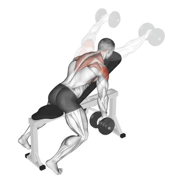 Pronated Decline Dumbbell Front Raises — ejercicio de Hombros, nivel Intermedio