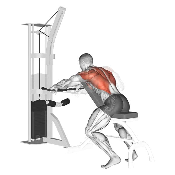 Pronated Decline Row on Pulley — ejercicio de Espalda, nivel Intermedio