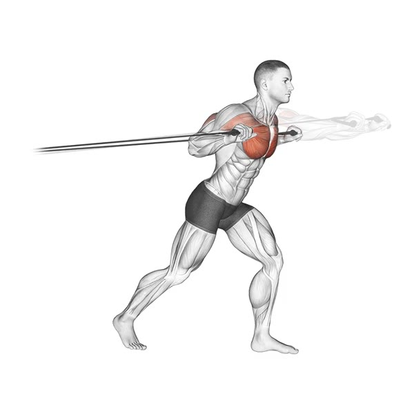 Pronated Front Press with Bands — ejercicio de General, nivel Intermedio