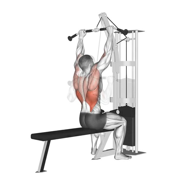 Pronated Lat Pulldown on High Pulley — ejercicio de Espalda, nivel Principiante
