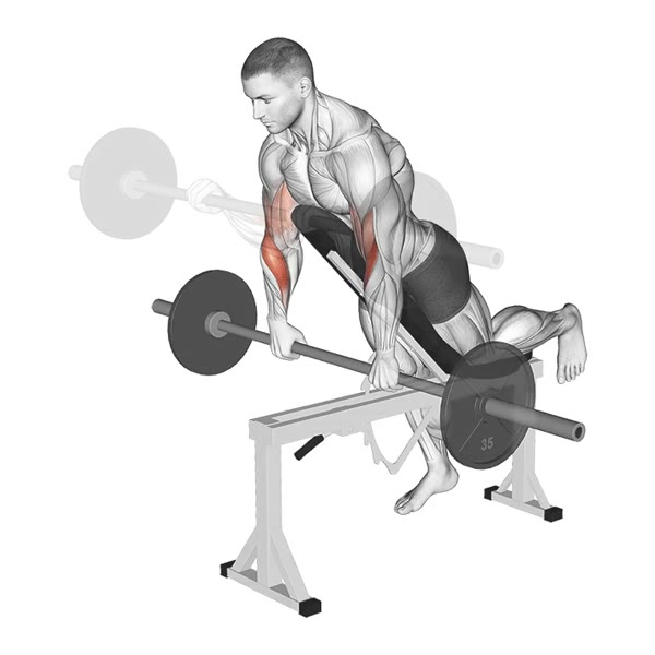 Pronated Spider Curl with Barbell — ejercicio de Bíceps, nivel Intermedio