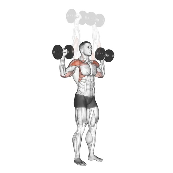 Prone Dumbbell Military Press — ejercicio de Hombros, nivel Intermedio