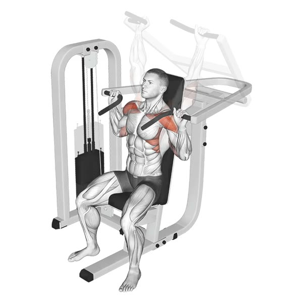 Prone Military Press Machine — ejercicio de Hombros, nivel Intermedio