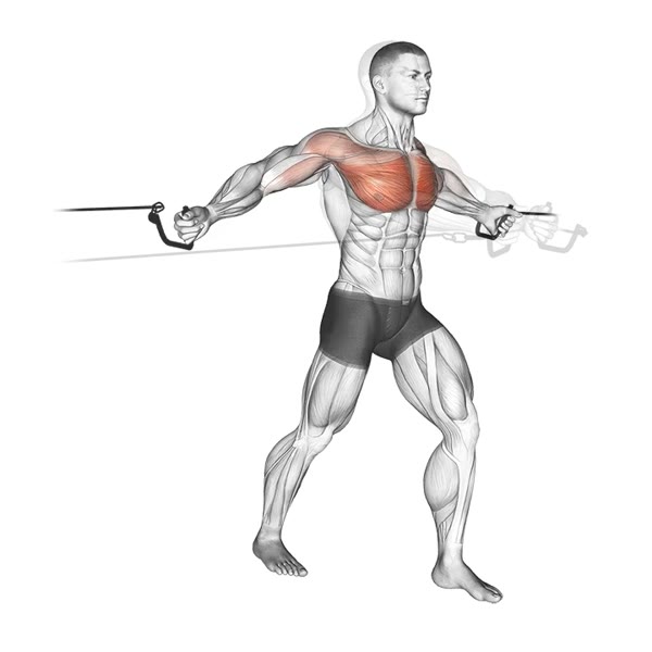 Pulley Crossing — ejercicio de General, nivel Intermedio