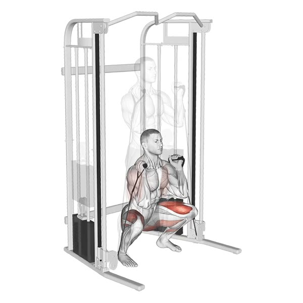 Pulley Squat — ejercicio de Pierna, nivel Intermedio