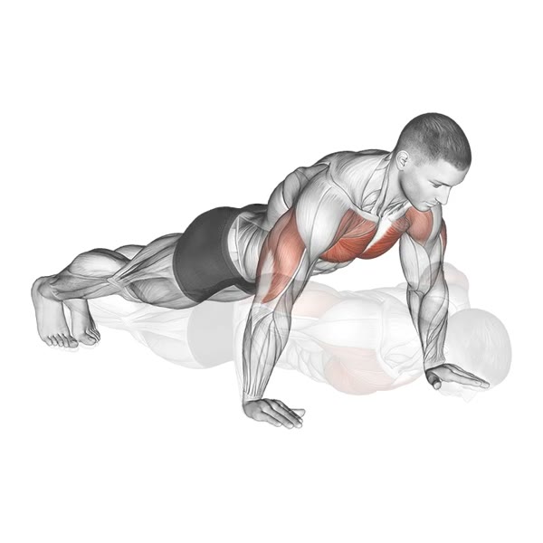 Push-ups — ejercicio de Pecho, nivel Principiante