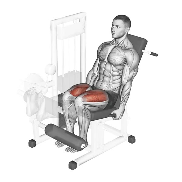 Quadriceps Extension on Machine — ejercicio de Pierna, nivel Intermedio