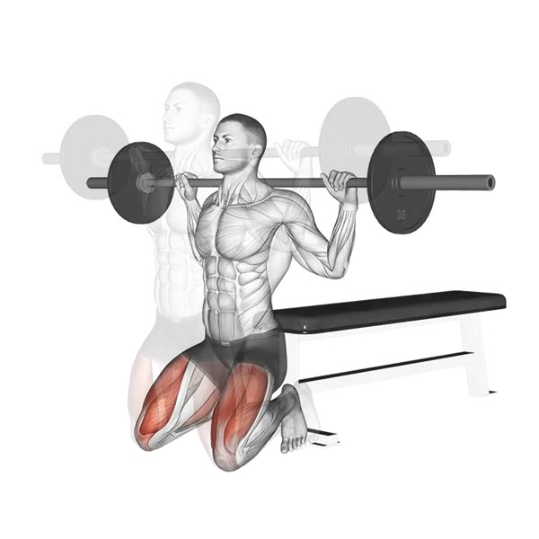 Quadriceps Extension with Barbell — ejercicio de Pierna, nivel Intermedio