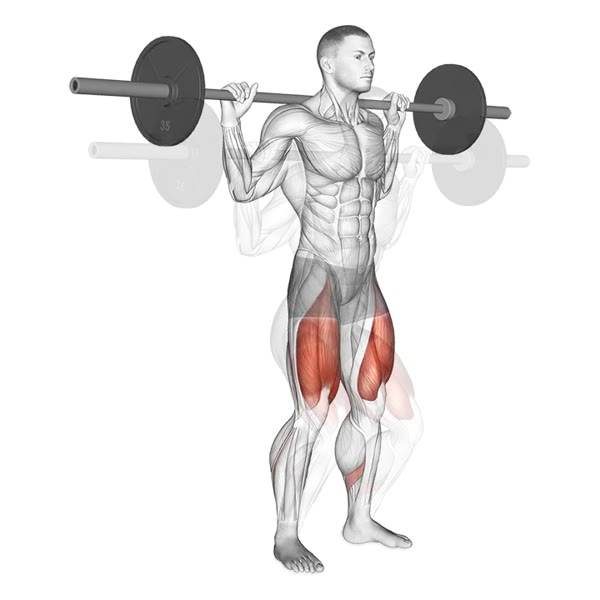 Quarter Barbell Squat — ejercicio de Pierna, nivel Principiante