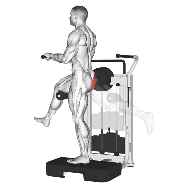 Rear Extension on Machine — ejercicio de Pierna, nivel Intermedio