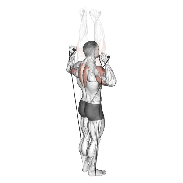 Rear Military Press with Bands — ejercicio de Hombros, nivel Intermedio
