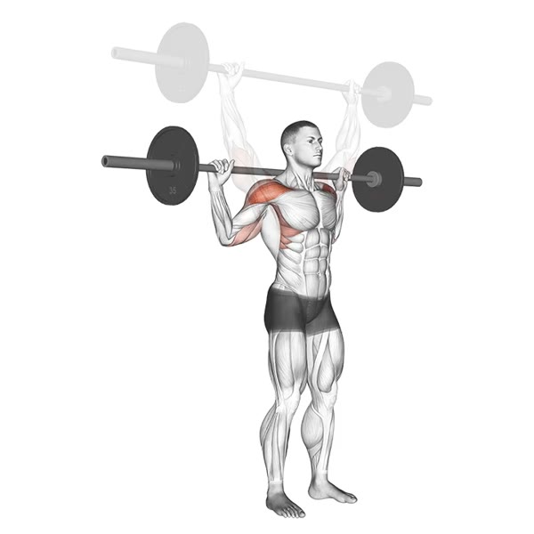 Rear Military Press with Barbell — ejercicio de Hombros, nivel Intermedio