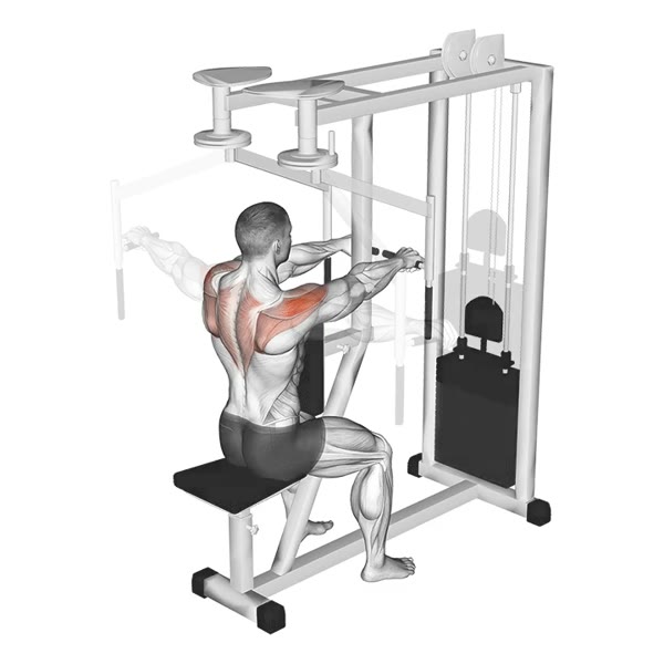 Rear Openings in Pronation on Machine — ejercicio de General, nivel Intermedio