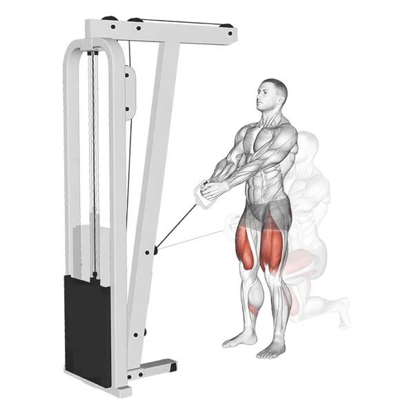Rear Stride on Pulley — ejercicio de General, nivel Intermedio