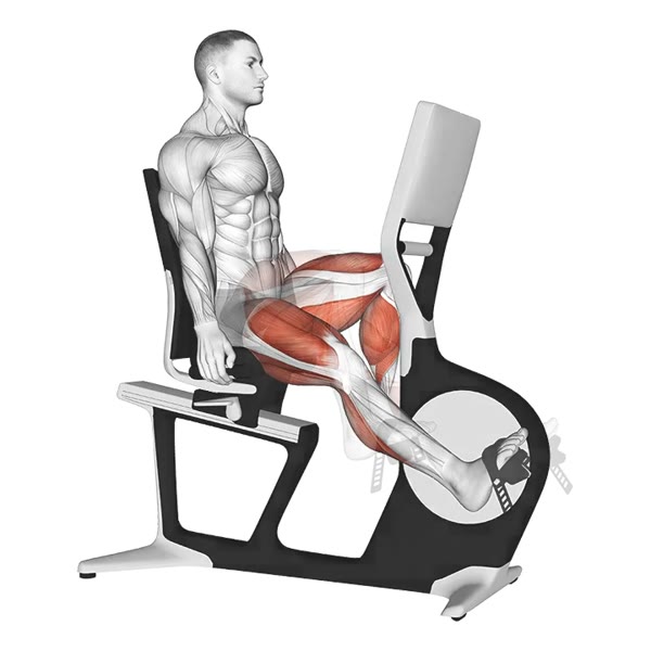 Recumbent Stationary Bike — ejercicio de Cardio, nivel Intermedio