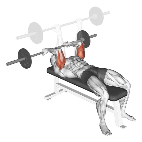Reverse Barbell French Press — ejercicio de Tríceps, nivel Intermedio