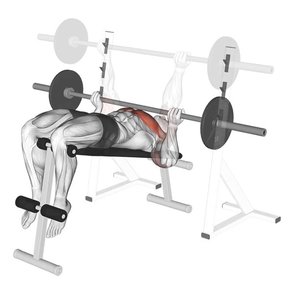 Reverse Decline Barbell Press — ejercicio de Pecho, nivel Intermedio