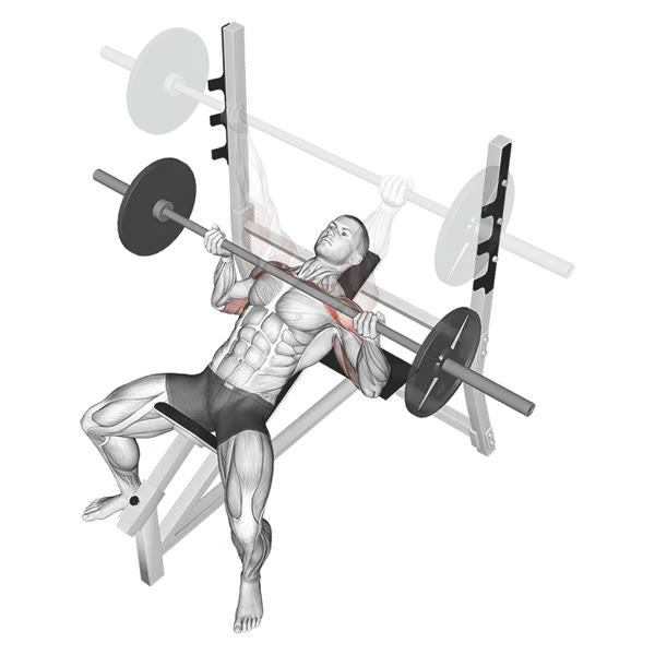 Reverse Incline Barbell Press — ejercicio de General, nivel Intermedio