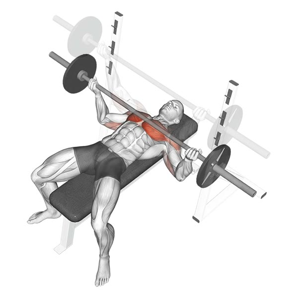 Reverse Open Barbell Bench Press — ejercicio de Pecho, nivel Intermedio