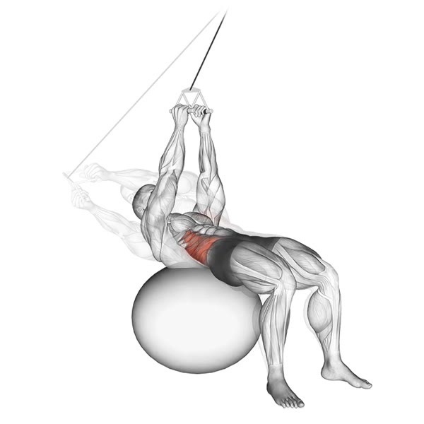 Russian Twist on Fitball with Pulley — ejercicio de Abdomen, nivel Intermedio