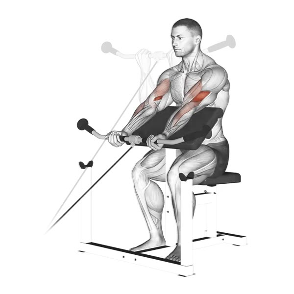 Scott Bench Curl in Supination with Pulley — ejercicio de Pecho, nivel Intermedio