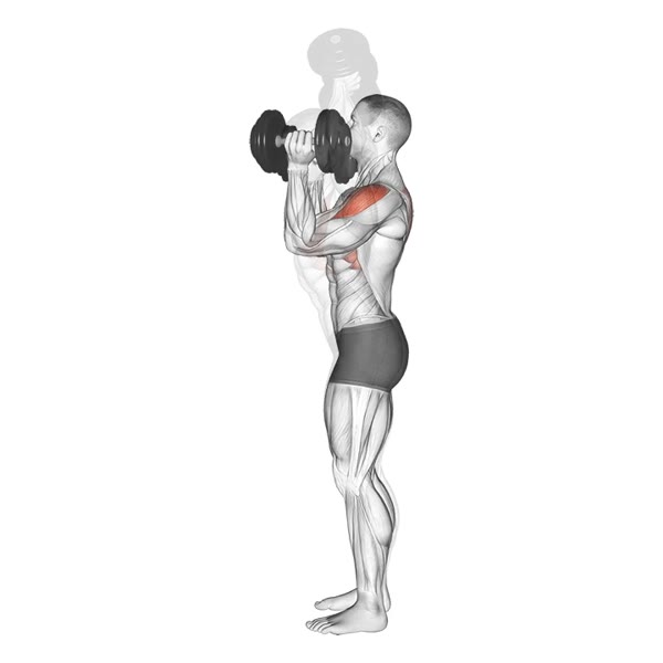 Scott Press with Dumbbells — ejercicio de General, nivel Intermedio