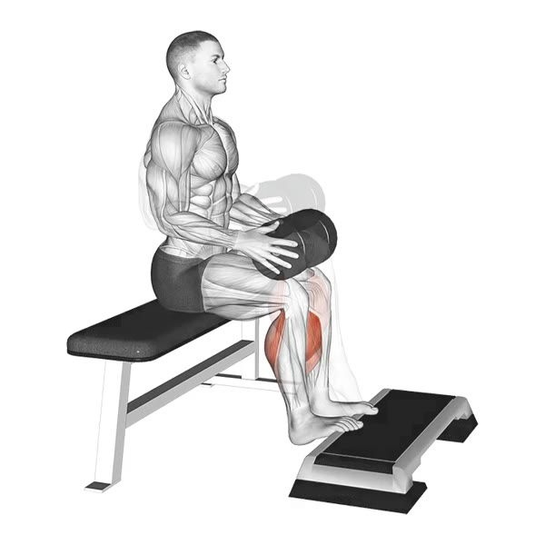 Seated Dumbbell Calf Extension — ejercicio de Pierna, nivel Intermedio