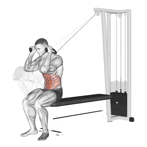 Seated Superior Crunch with Pulley — ejercicio de Abdomen, nivel Intermedio