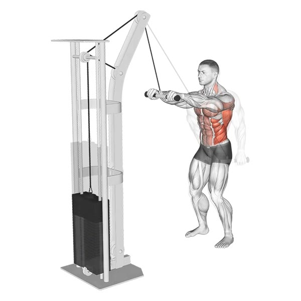 Serrated plates with pulley rotation — ejercicio de General, nivel Intermedio