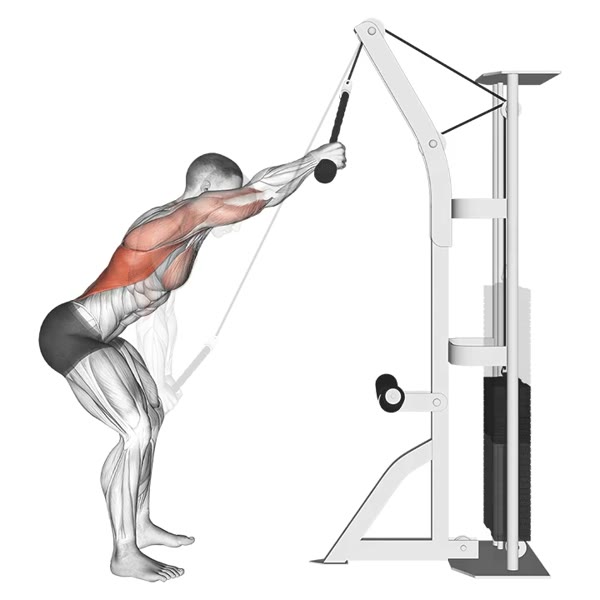 Serrated with Rope on Pulley — ejercicio de General, nivel Intermedio