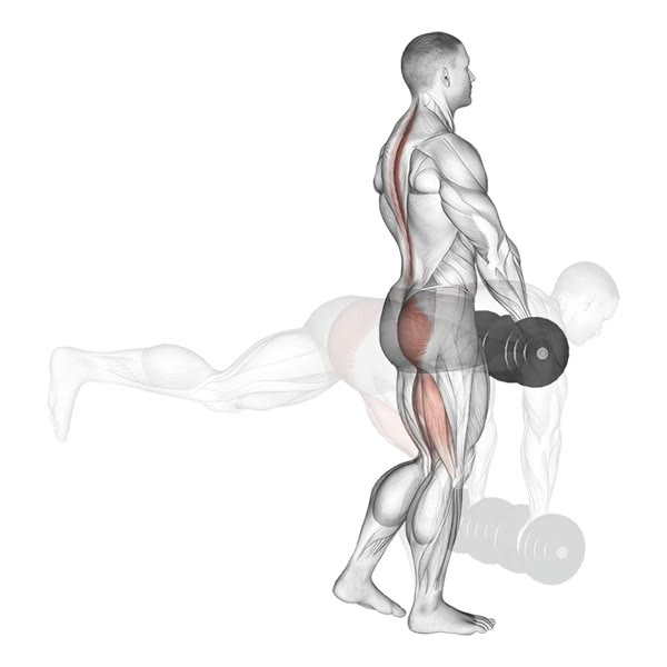 Single leg dumbbell deadlift — ejercicio de Pierna, nivel Avanzado