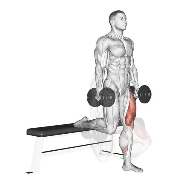 Single leg dumbbell squat — ejercicio de Pierna, nivel Avanzado